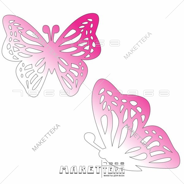 Бабочка, Butterfly