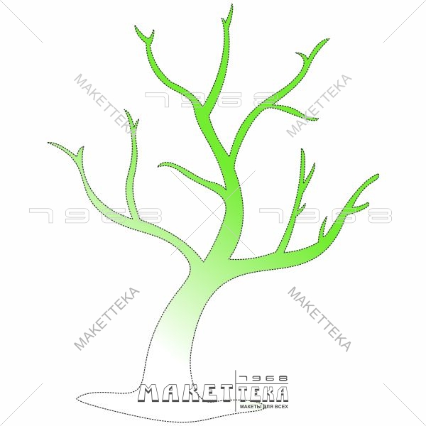 Дерево, ветки, Tree, branches